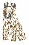 Briard